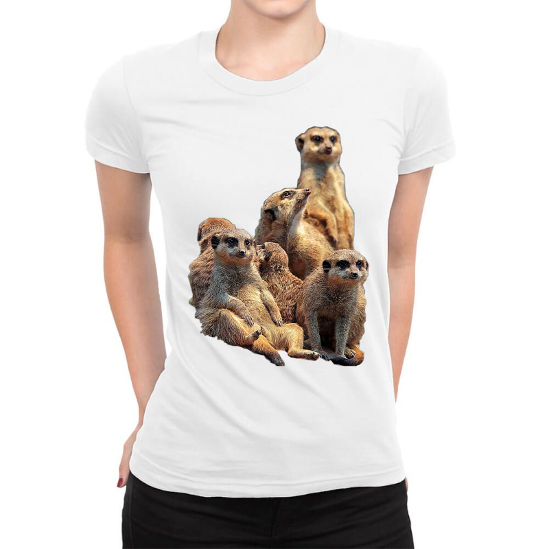 Lettertrunk Meerkat Family In The Kalahari Desert T Shirt Ladies Fitted T-Shirt by cm-arts | Artistshot