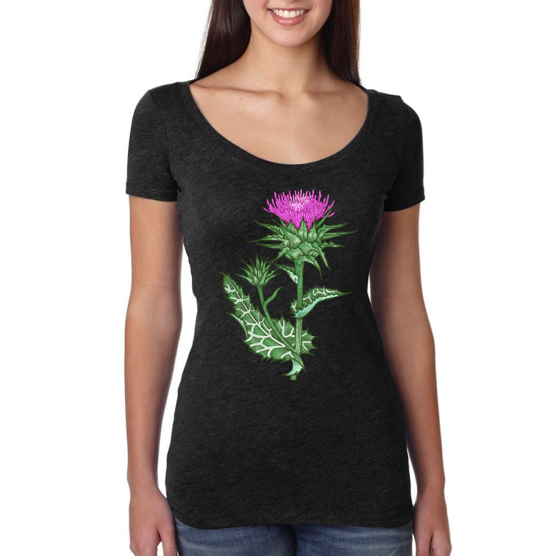 Herb Plant Retro Vintage Drawing Art   Milk Thistle Sweatshirt Women's Triblend Scoop T-shirt by cm-arts | Artistshot