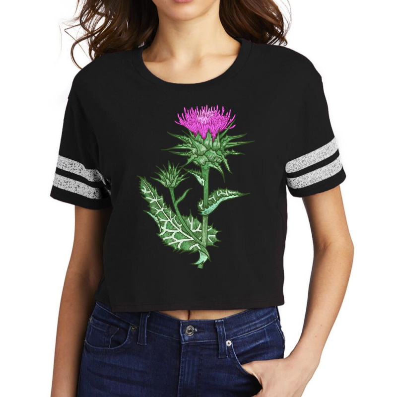 Herb Plant Retro Vintage Drawing Art   Milk Thistle Sweatshirt Scorecard Crop Tee by cm-arts | Artistshot