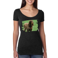 Picardy Spaniel Dog Lover Women's Triblend Scoop T-shirt | Artistshot