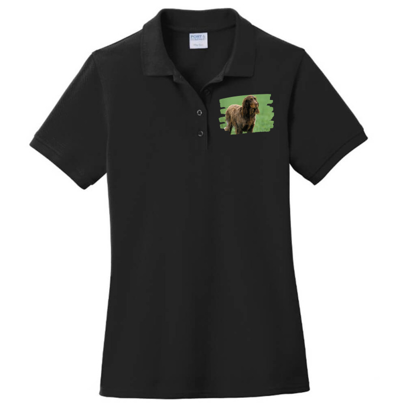 Picardy Spaniel Dog Lover Ladies Polo Shirt by Scarlets | Artistshot