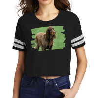 Picardy Spaniel Dog Lover Scorecard Crop Tee | Artistshot