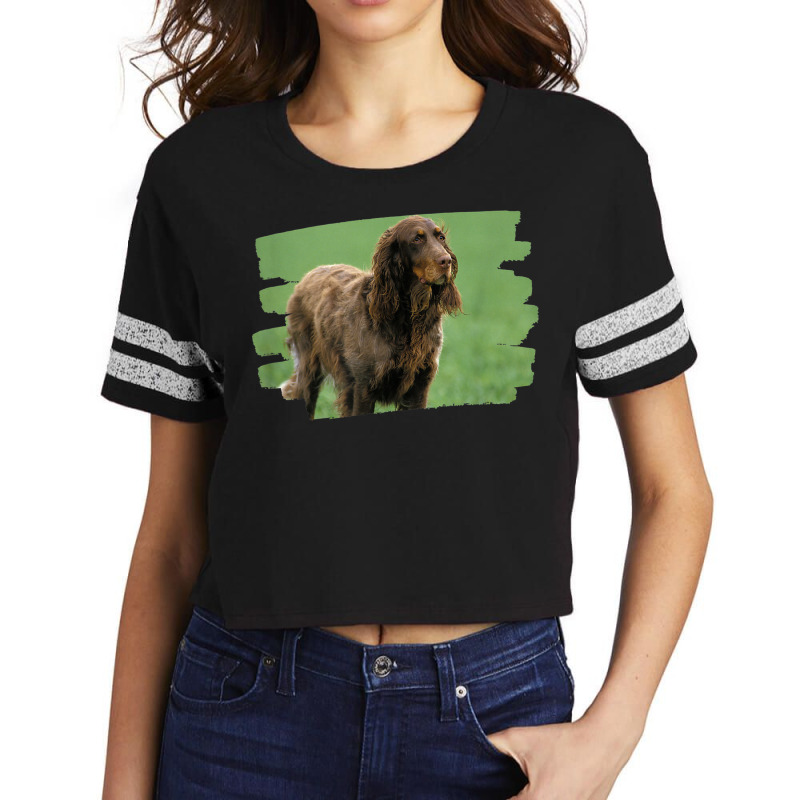 Picardy Spaniel Dog Lover Scorecard Crop Tee by Scarlets | Artistshot