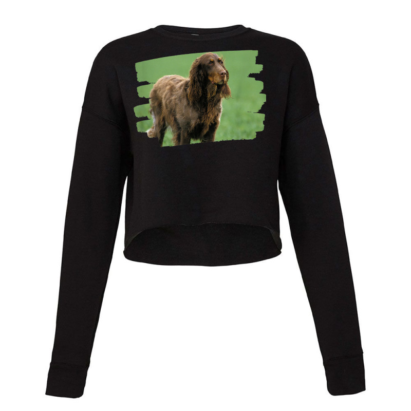 Picardy Spaniel Dog Lover Cropped Sweater by Scarlets | Artistshot