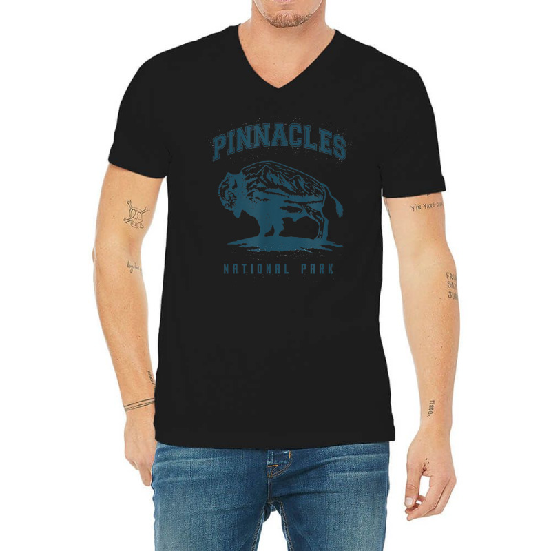 Pinnacles National Park V-Neck Tee by Lion | Artistshot