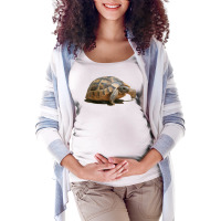 Portrait Of A Young Wild Tortoise Isolated T Shirt Maternity Scoop Neck T-shirt | Artistshot