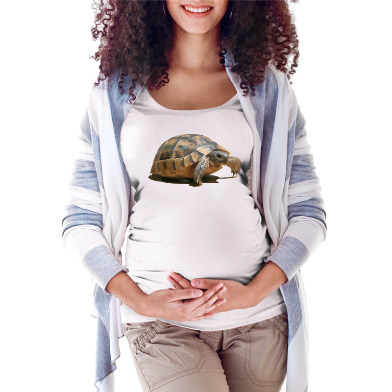 Portrait Of A Young Wild Tortoise Isolated T Shirt Maternity Scoop Neck T-shirt by puetzee | Artistshot