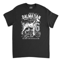 Dalmatian Dog Lovers Clubs, Dalmatian Dog Lovers Clubs Vintage, Dalmat Classic T-shirt | Artistshot