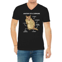 Anatomy Cute Chipmunk V-neck Tee | Artistshot