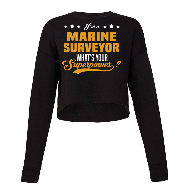 Marine Surveyor Cropped Sweater by QuanXander | Artistshot