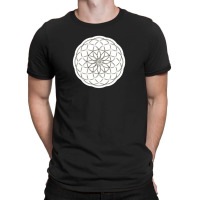 Platonic Solids Building Blocks Of Life Mathematics Geometry 11739281 T-shirt | Artistshot