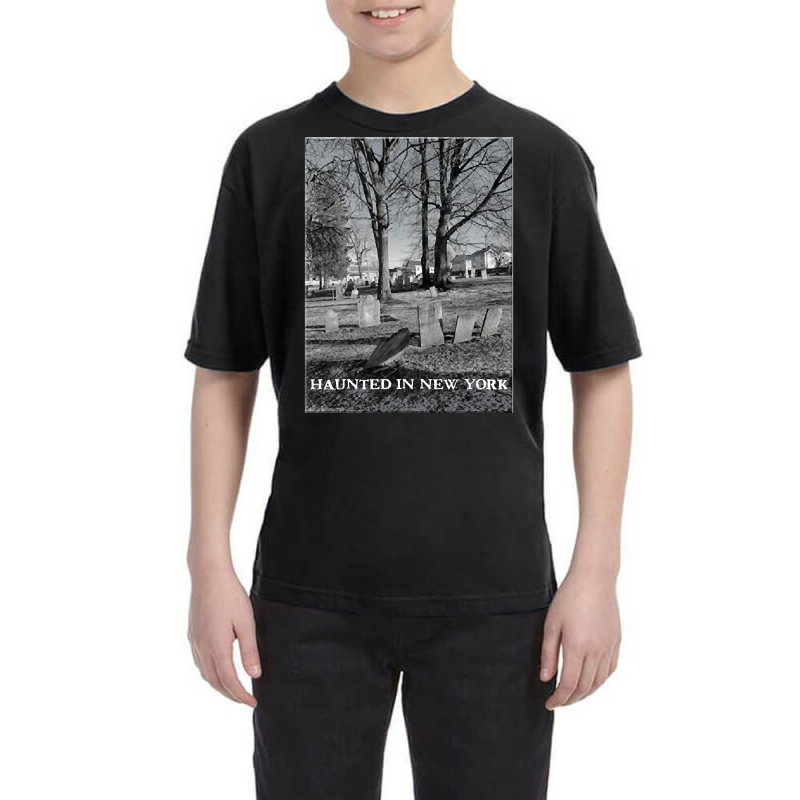 We Are The Paranormal Investigators Of Nys Youth Tee by Gibbons Washburn | Artistshot