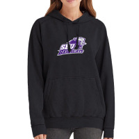 S0uthw3st B4ptist B34rcats Vintage Hoodie | Artistshot