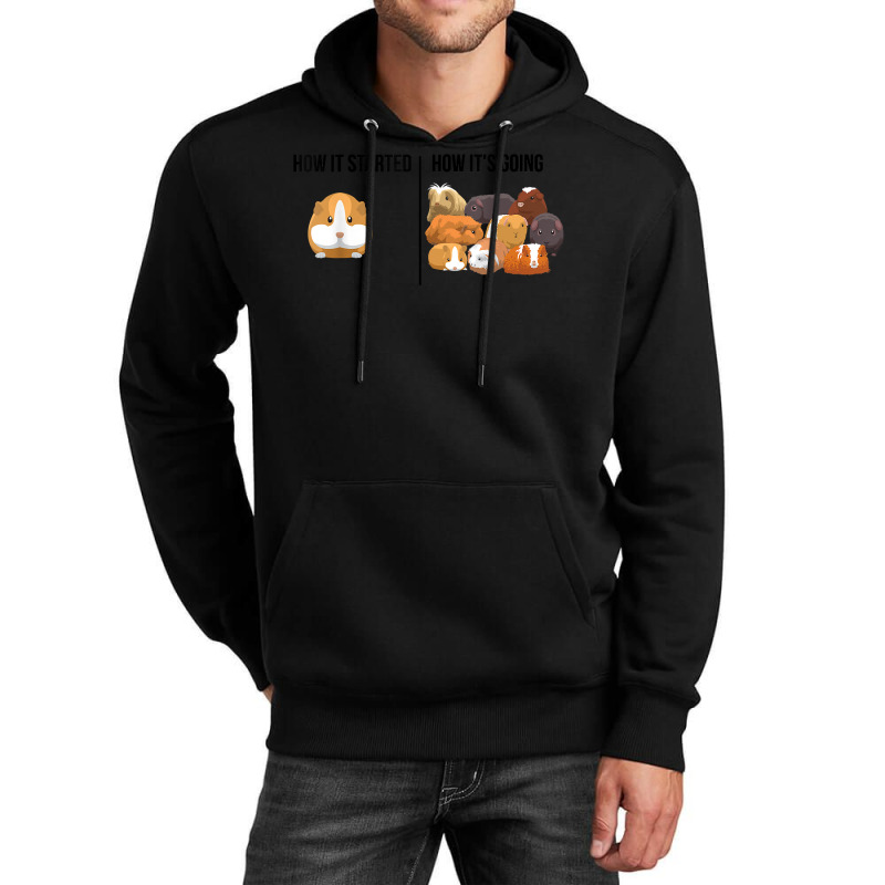 Guinea Pig Lovers Shirts  Meme Pun Funny Pet Guinea Pig Unisex Hoodie | Artistshot