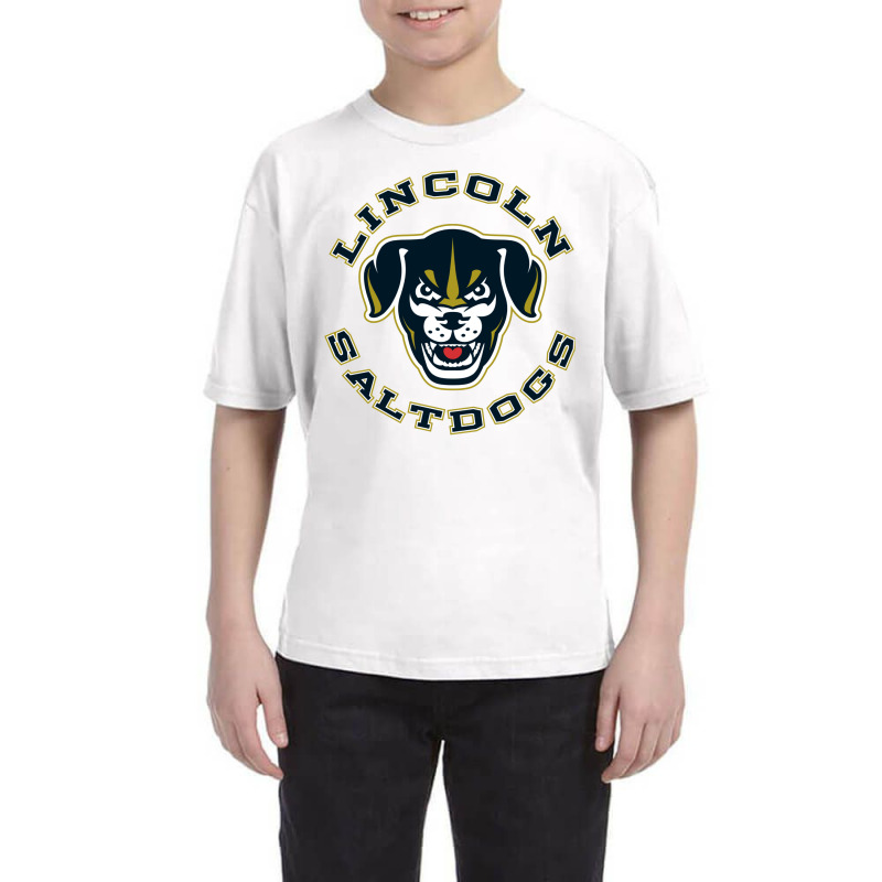 Lincoln-saltdogs-3 Youth Tee by Jemskoko | Artistshot