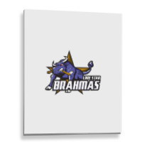 Lone Star Brahmas Metal Print Vertical | Artistshot