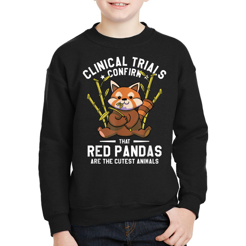 Clinical Trials Confirm That Red Pandas Are The Cutest Youth Sweatshirt | Artistshot