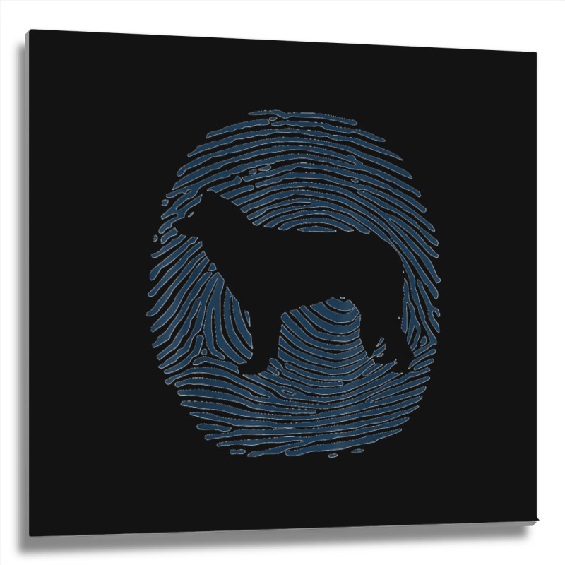 Welsh Sheepdog Dna Fingerprint Dog Welsh Sheepdog Metal Print Square by cm-arts | Artistshot