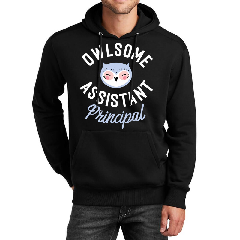 Owlsome Assistant Principal Pun Funny Gift Idea Unisex Hoodie by MICHAELOHARRA | Artistshot