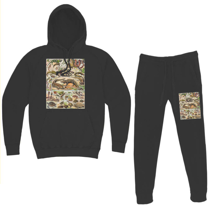 Reptile Tshirt Hoodie & Jogger Set | Artistshot