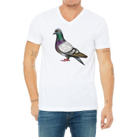 Pigeon V-neck Tee | Artistshot