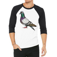 Pigeon 3/4 Sleeve Shirt | Artistshot