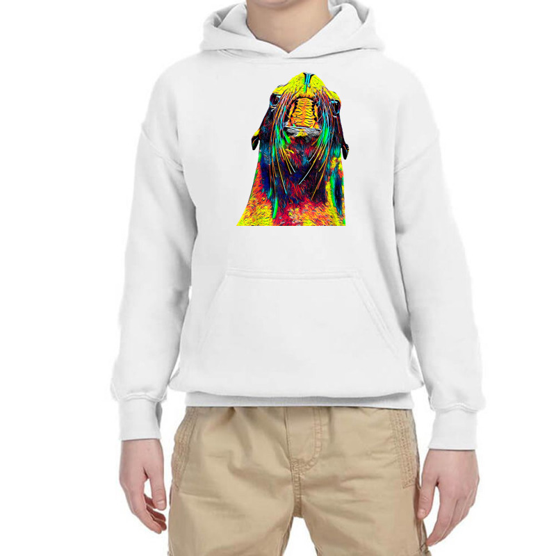 Cute Sea Lion Colorful Art T  Shirt Youth Hoodie by cm-arts | Artistshot