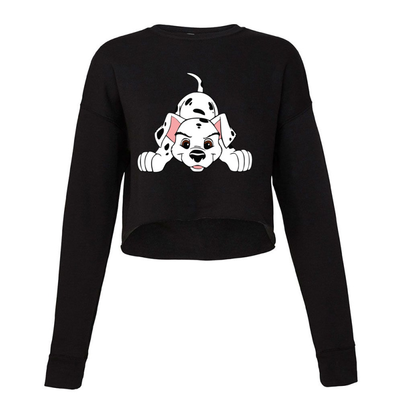 Dalmatian Cropped Sweater by brodesin | Artistshot