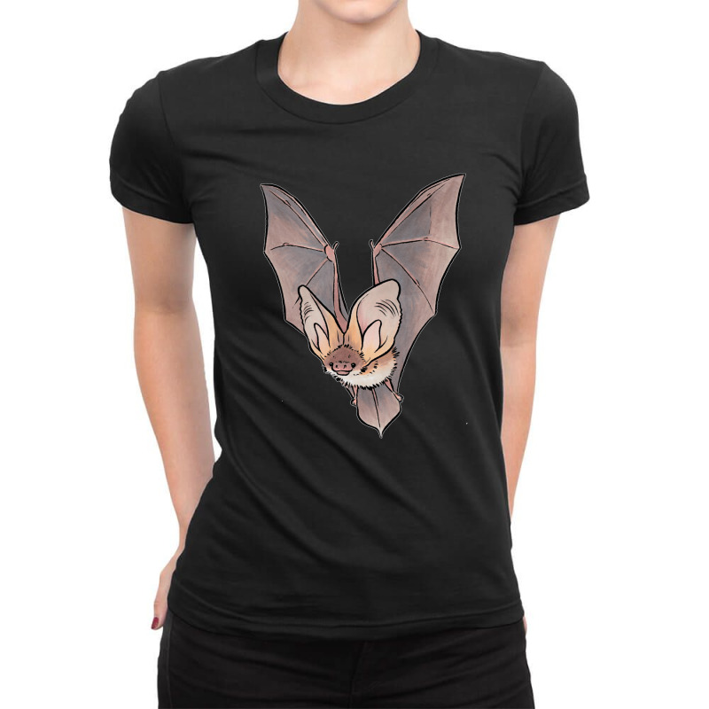 Grey-long-eared-bat- Ladies Fitted T-Shirt by RobinIntorcia | Artistshot