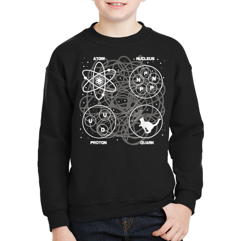 Quantum Mechanics String Theory   Physicist Science Lover T Shirt Youth Sweatshirt by cm-arts | Artistshot