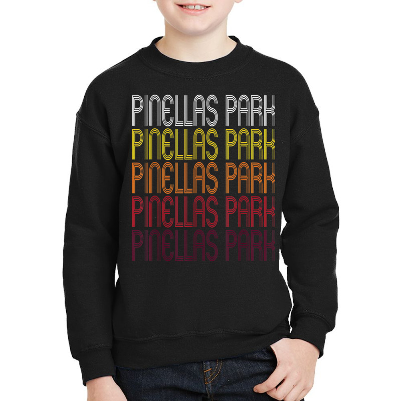 Pinellas Park, Fl  Vintage Style Florida T Shirt Youth Sweatshirt | Artistshot