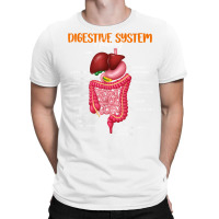 Funny Digestive System Anatomy Anatomical Biology Teacher T Shirt T-shirt | Artistshot