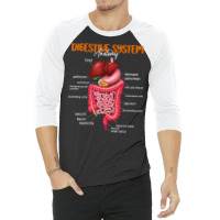 Funny Digestive System Anatomy Anatomical Biology Teacher T Shirt 3/4 Sleeve Shirt | Artistshot