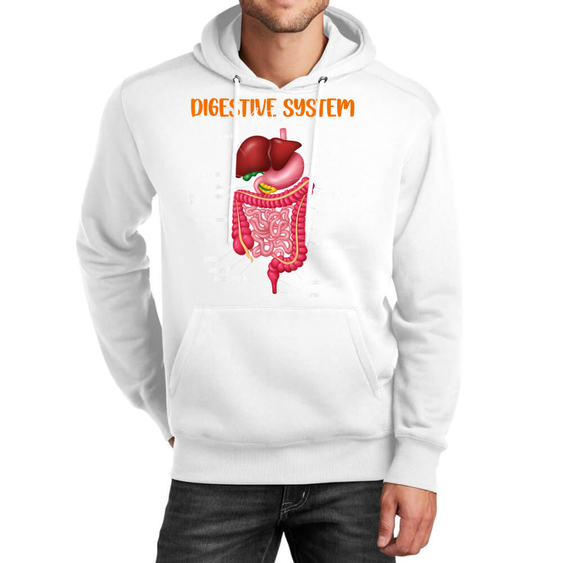 Funny Digestive System Anatomy Anatomical Biology Teacher T Shirt Unisex Hoodie by povyvexumi3 | Artistshot