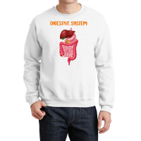 Funny Digestive System Anatomy Anatomical Biology Teacher T Shirt Crewneck Sweatshirt | Artistshot