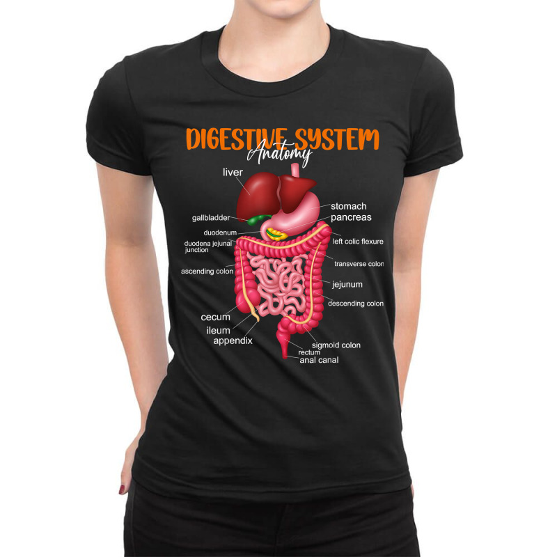 Funny Digestive System Anatomy Anatomical Biology Teacher T Shirt Ladies Fitted T-Shirt by povyvexumi3 | Artistshot