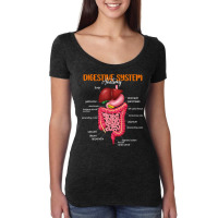 Funny Digestive System Anatomy Anatomical Biology Teacher T Shirt Women's Triblend Scoop T-shirt | Artistshot