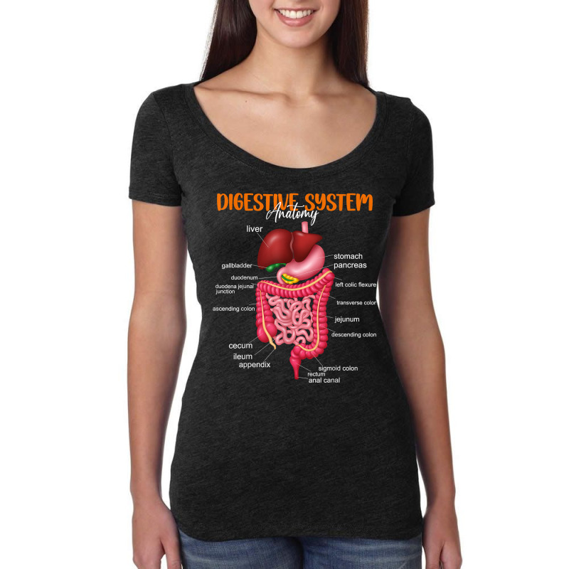 Funny Digestive System Anatomy Anatomical Biology Teacher T Shirt Women's Triblend Scoop T-shirt by povyvexumi3 | Artistshot