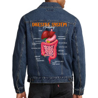 Funny Digestive System Anatomy Anatomical Biology Teacher T Shirt Men Denim Jacket | Artistshot