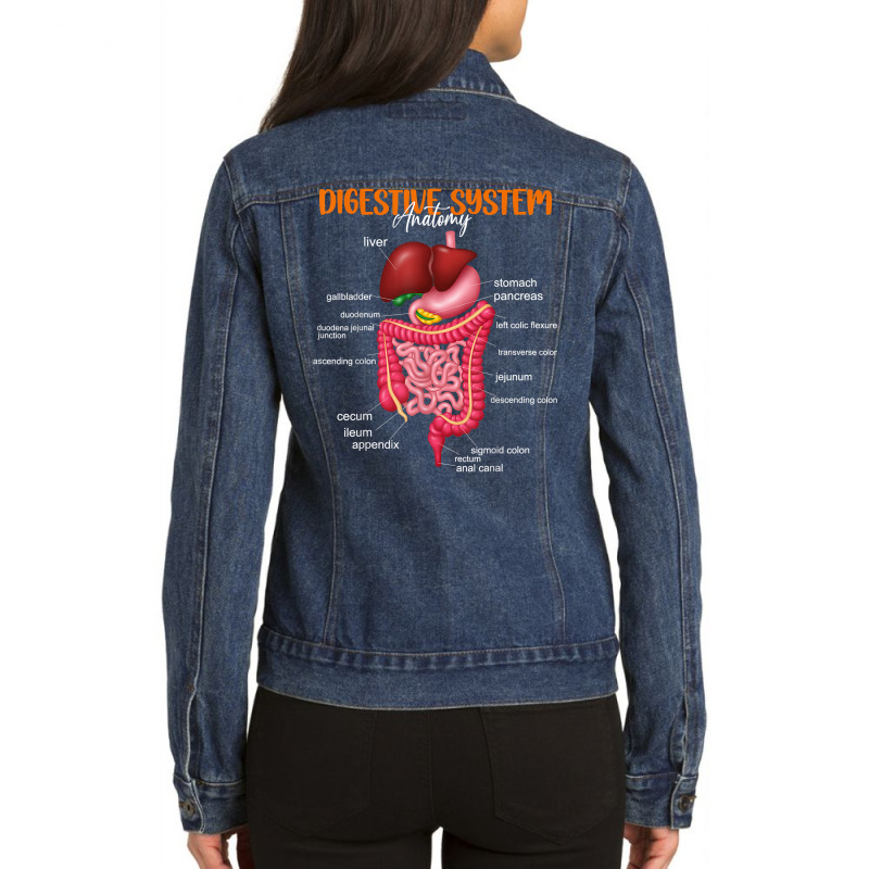 Funny Digestive System Anatomy Anatomical Biology Teacher T Shirt Ladies Denim Jacket by povyvexumi3 | Artistshot