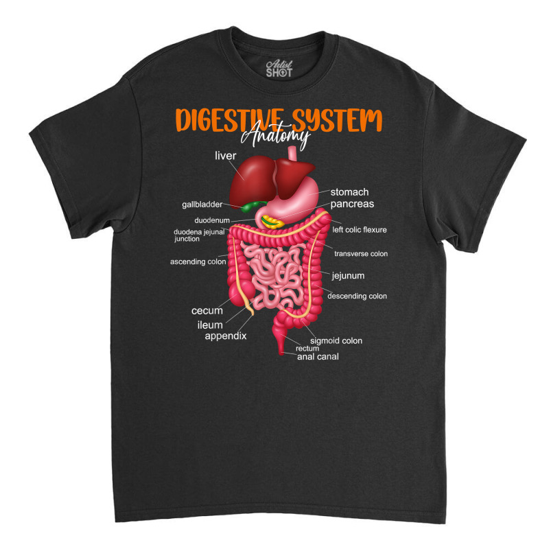 Funny Digestive System Anatomy Anatomical Biology Teacher T Shirt Classic T-shirt by povyvexumi3 | Artistshot