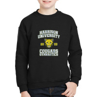 Cougars Gymnastics (variant)   Old School Youth Sweatshirt | Artistshot