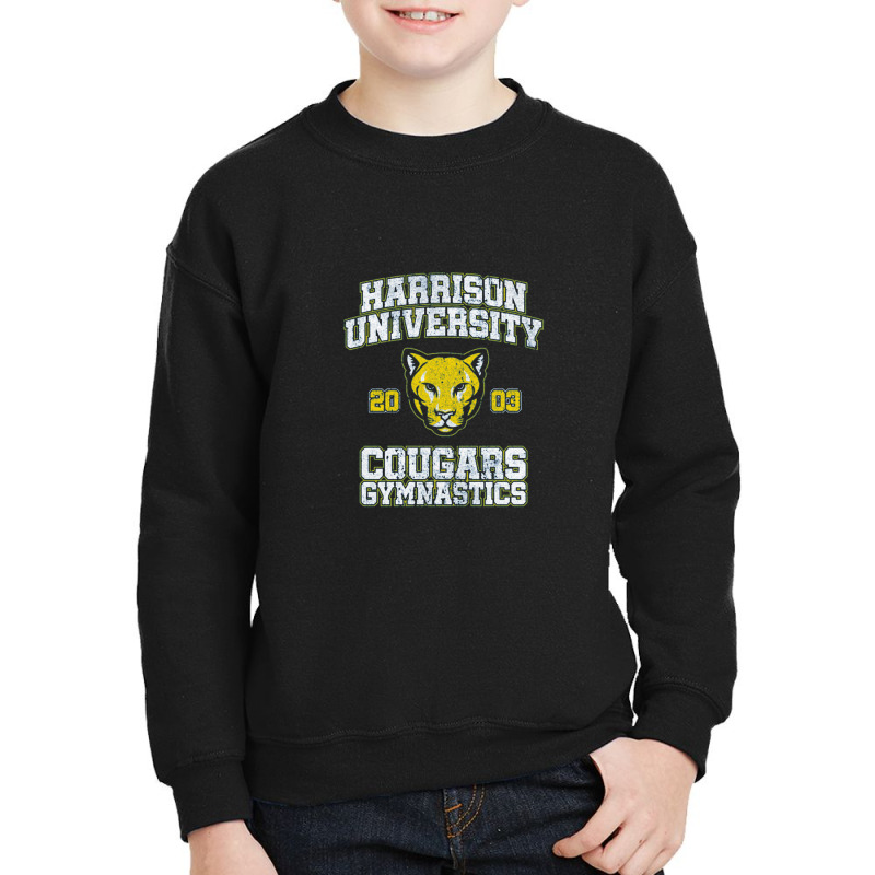 Cougars Gymnastics (variant)   Old School Youth Sweatshirt by tomatkecil | Artistshot