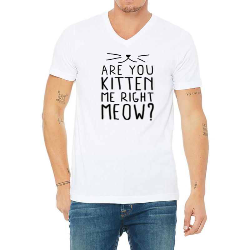 New Are You Kitten Me Right Meow V-neck Tee | Artistshot