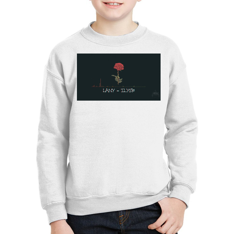 Lany sweatshirt 2024