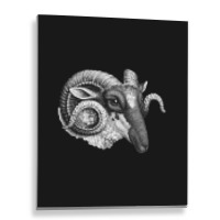 Profile Of A Ram, Profile Of A Ram Art, Profile Of A Ram Vintage, Prof Metal Print Vertical | Artistshot