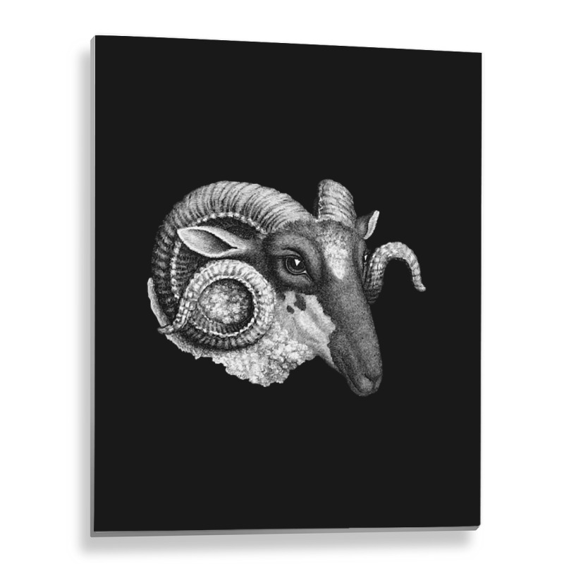 Profile Of A Ram, Profile Of A Ram Art, Profile Of A Ram Vintage, Prof Metal Print Vertical | Artistshot