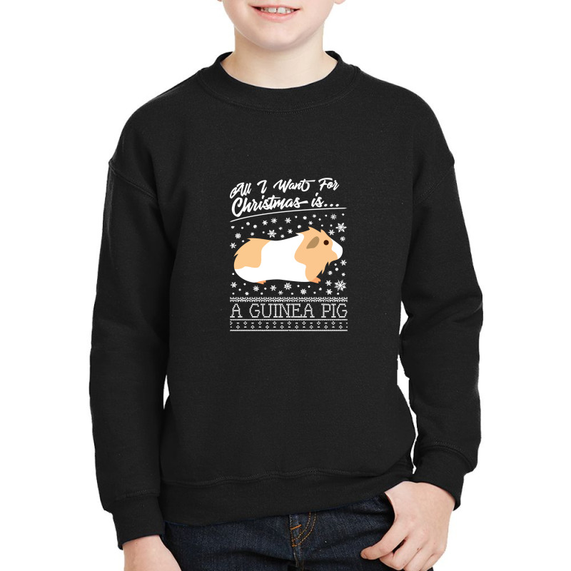 All I Want For Christmas Is A Guinea Pig Youth Sweatshirt | Artistshot