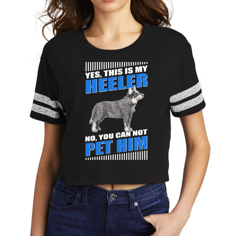 Heeler Dog Owner Australian Cattle Dog Blue Heeler-hjiqi Scorecard Crop Tee by Aiello Mcdade | Artistshot