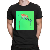 Flume Skin Companion Ep I T-shirt | Artistshot